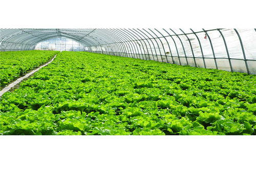 德宏农业光伏温室大棚 奥越信科技在大棚材料及配套设施设计中的创新实践