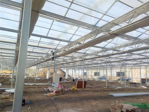 玻璃温室设计与配套 青州瀚洋农业的专业解决方案