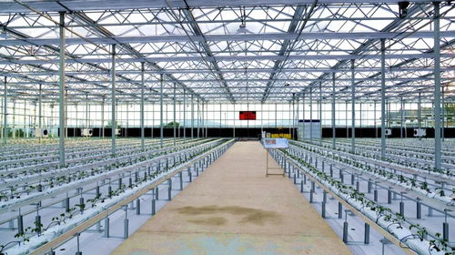 走进四方台紫云岭现代农业示范园区的智能温室 大棚材料与配套设施的设计