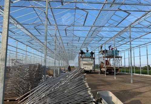 投资现代化智能玻璃温室大棚的造价与设计要点