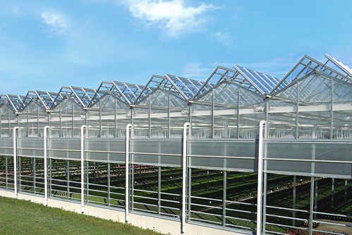 温室的主要类型、材料选择及配套设施设计概述