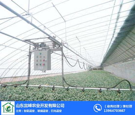 日光温室骨架在现代化农业中的关键作用——以富峰农业为例