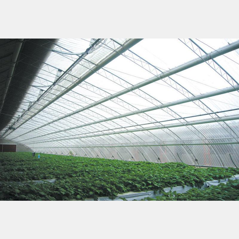 专业构筑，智慧生长 盛腾温室引领蔬菜大棚现代化建造新风尚