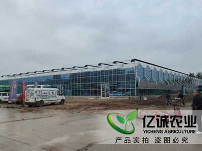 科技赋能农业新篇章 探秘陕西西安巨坤花卉智能玻璃温室