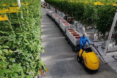 从春天启程！古浪县域经济发展跑出“加速度” 干出“新精彩”——农业温室篇