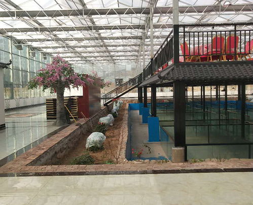 日光温室大棚今日报价与濮阳智博农业科技的专业解决方案