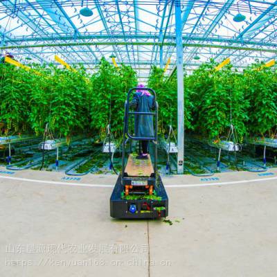 山东临沂垦源智慧农业产业园温室大棚改造工程 价格解析与材料配套设施设计