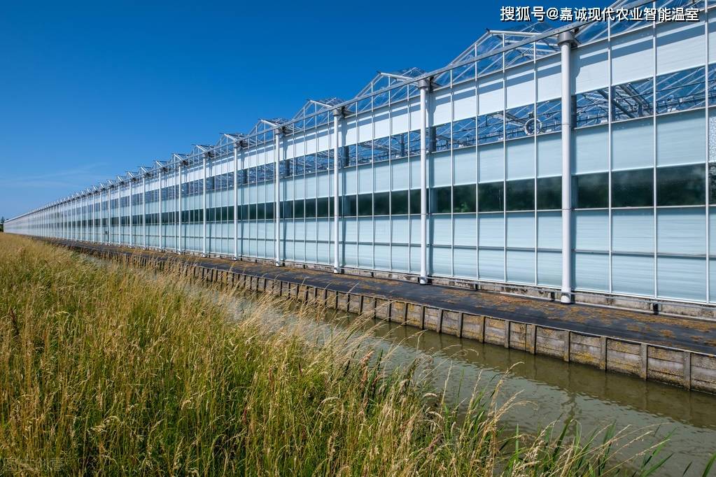 荷兰先进设施农业公司发展对国内现代农业的启示