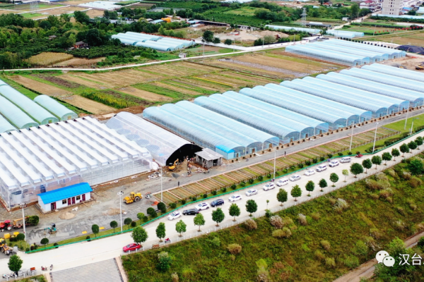 汉中市2023年三季度重点项目观摩走进汉台 农业温室项目引领乡村振兴新篇章